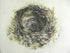 Blackbird Nest Framed Etching - Moira Mctague_Just Makers