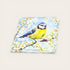 Blue Tit Coaster Slate - Sarah Tustin_just makers