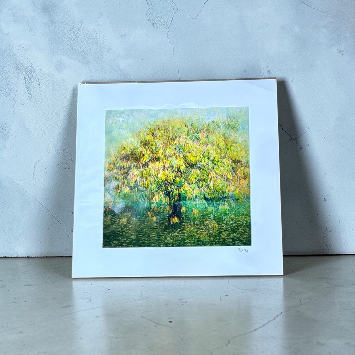 Cherry Tree, Valley Gardens Mounted Photograph - Steve Oxley_Just Makers