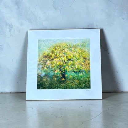 Cherry Tree, Valley Gardens Mounted Photograph - Steve Oxley_Just Makers