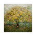 Cherry Tree, Valley Gardens Mounted Photograph - Steve Oxley_Just Makers