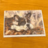 Dog Greeting Card - Pam Chilton_just makers