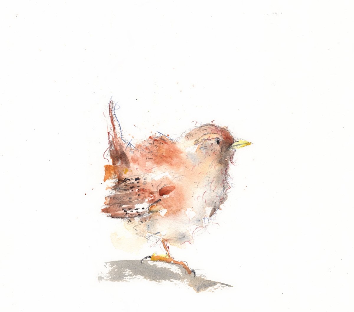 Expressive Winter Birds in Watercolour Workshop with Tim Gomersall_JustMakers