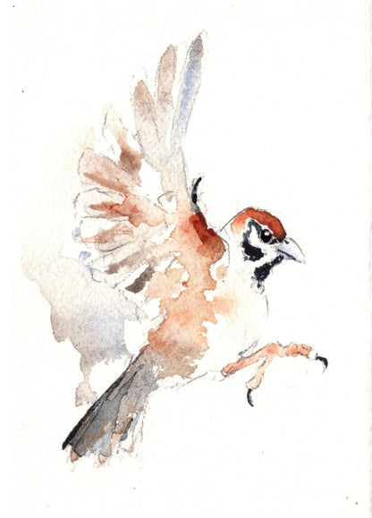 Expressive Winter Birds in Watercolour Workshop with Tim Gomersall_JustMakers