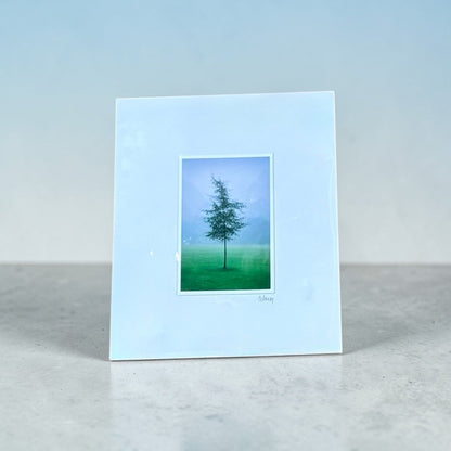 Green and Blue, Valley Gardens Mounted Photograph - Steve Oxley_Just Makers