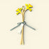 Hand Painted Daffodil Duo Stems - Natty Deco_Just Makers