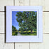 Framed artwork of a tree on a wooden surface