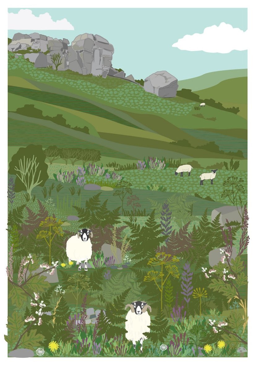 Ilkley Moor Baa Tat Mounted Print - Jane Gales_Just Makers