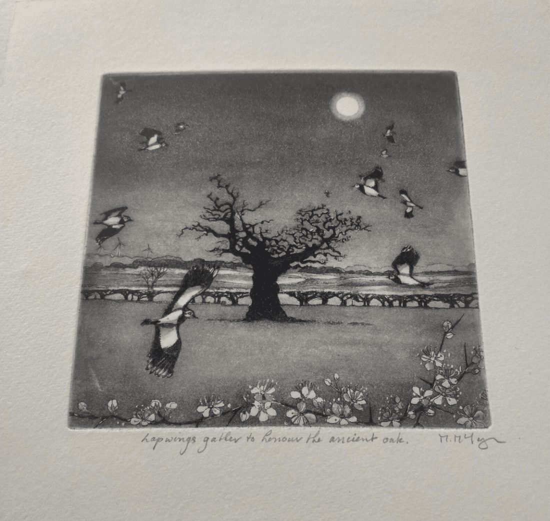 Lapwings Gather to Honour the Ancient Oak Framed Etching - Moira Mctague_Just Makers
