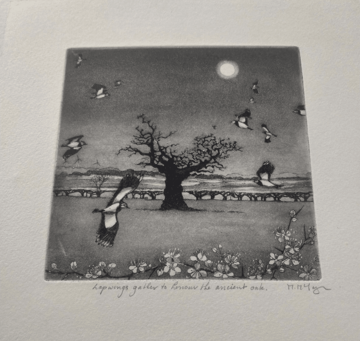 Lapwings Gather to Honour the Ancient Oak Framed Etching - Moira Mctague_Just Makers