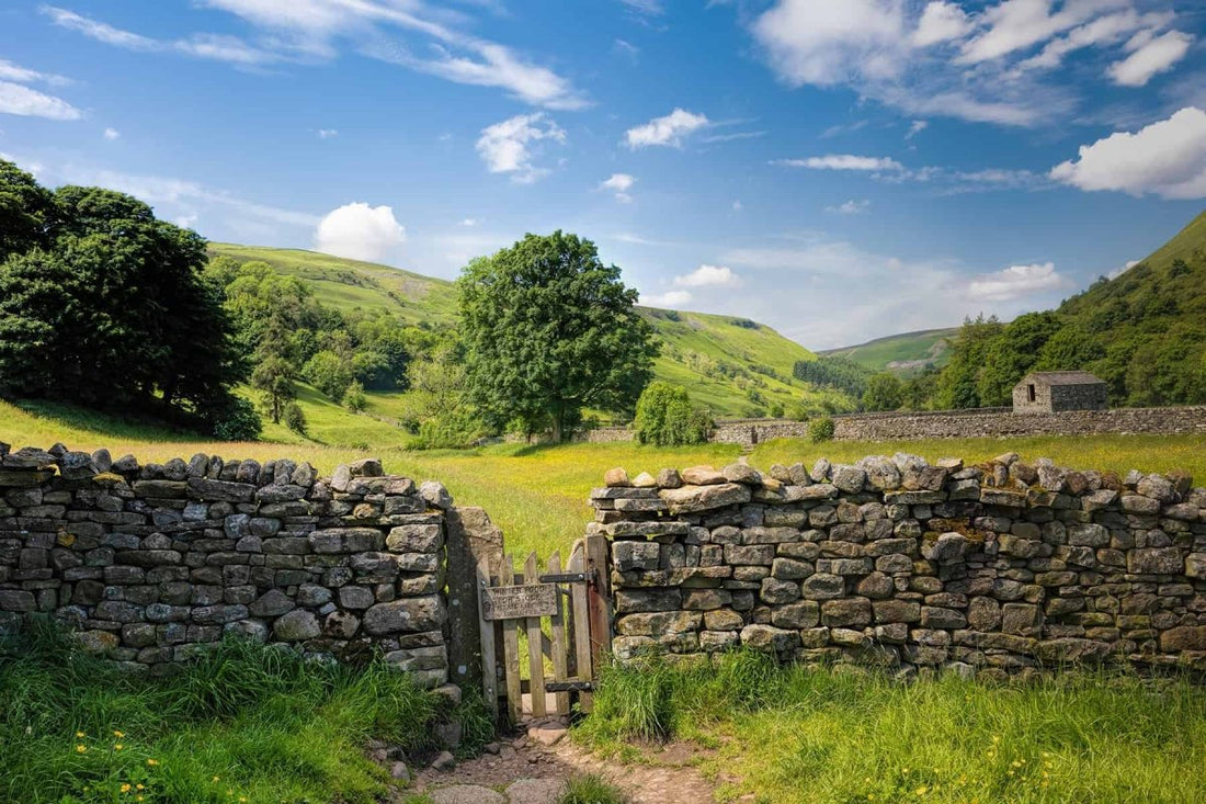 Muker Meadows in Summer Photograph - Paula Beaumont Adventures_Just Makers