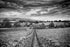 Path to Linton Falls Photograph - Paula Beaumont Adventures_Just Makers