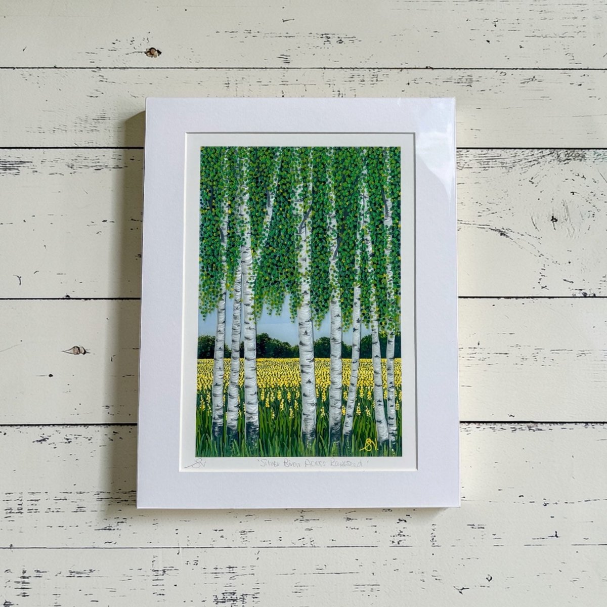 Silver Birch Across Rapeseed A4 Giclee Print - Sarah Jane Nicholls_Just Makers