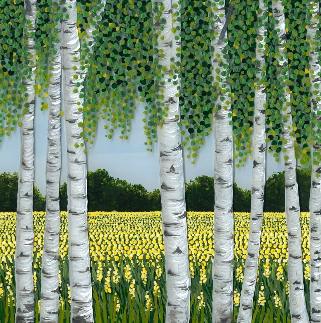 Silver Birch Across Rapeseed Giclee Mounted Print Unframed - Sarah Jane Nicholls_Unframed_Just Makers