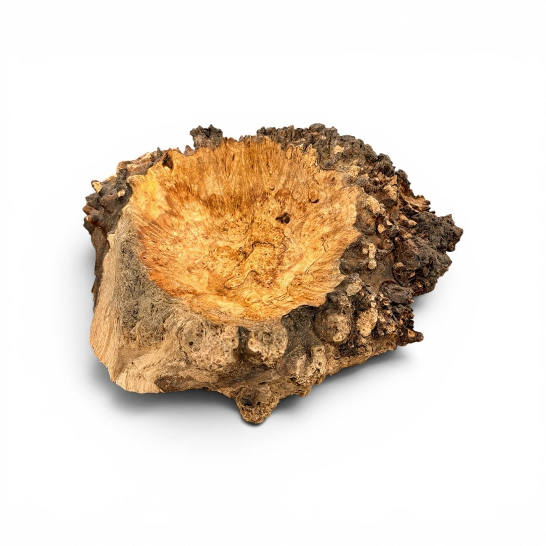 A natural wood bowl carved from a tree stump, featuring a smooth, hollowed interior with warm golden-brown tones and a rough, textured bark-like exterior in dark brown and black, isolated on a white background.