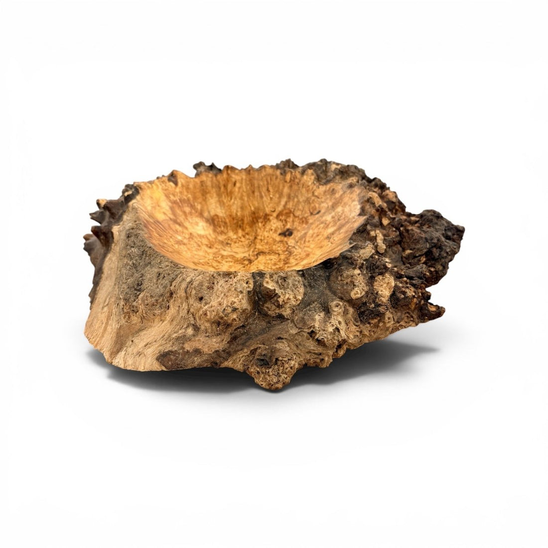 A rustic wooden bowl carved from a natural tree stump, featuring a smooth, curved light brown interior and a rough, textured dark brown bark exterior, shown on a plain white background.