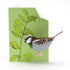 Sparrow Pop - Up 3D Card & Decoration - Just Makers Faye Stevens - Merryday Studio