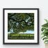 Summer Breeze Giclee Mounted Print Unframed - Sarah Jane Nicholls_Just Makers