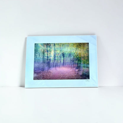 The Beech Avenue, Studley Royal Mounted Photograph - Steve Oxley_Just Makers