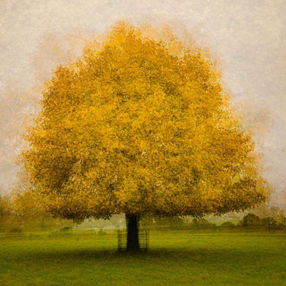 The Golden Tree Mounted Photograph - Steve Oxley_Just Makers