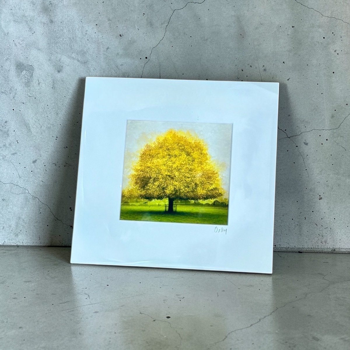 The Golden Tree Mounted Photograph - Steve Oxley_Just Makers