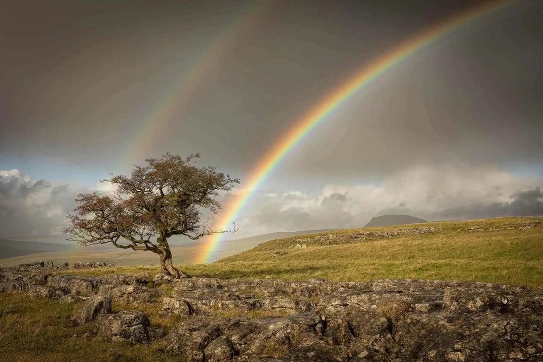 Winskill Stones Photograph - Paula Beaumont Adventures_Just Makers
