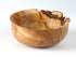 Wych Elm Natural Edge Bowl - Mike Bentley_Just Makers